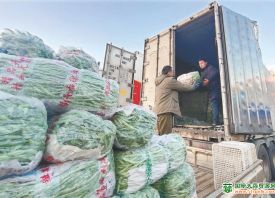 北京新發地：加大調配 蔬菜量足價穩